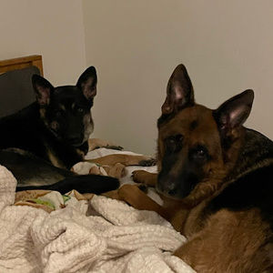 Meet your Posher, Keira